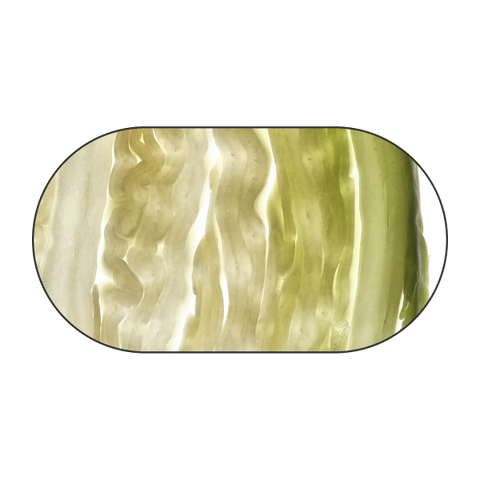Cavolo