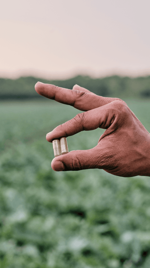 Proteggiamo la bontà  all'interno delle nostre capsule di origine vegetale